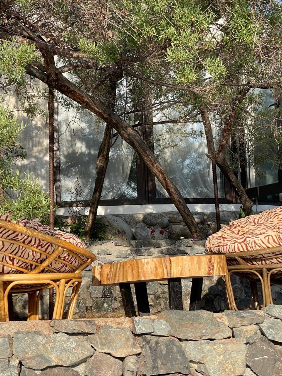 Ak-Tengir Yurt Resort Tossor Bagian luar foto